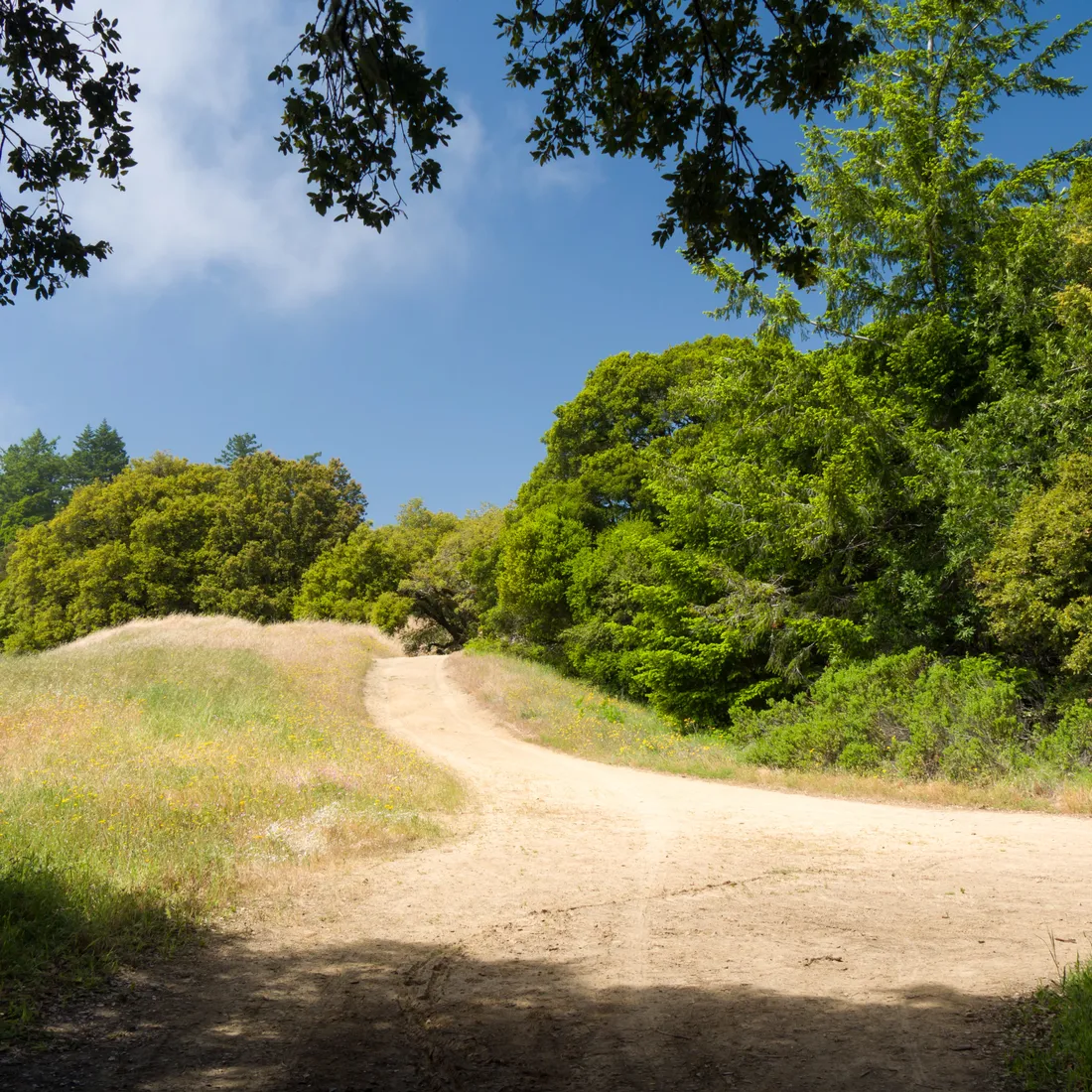 Long Ridge Open Space Preserve